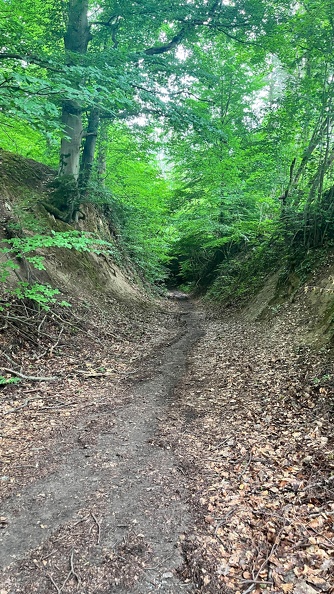 22-06-06 13-59-57 1066.jpeg